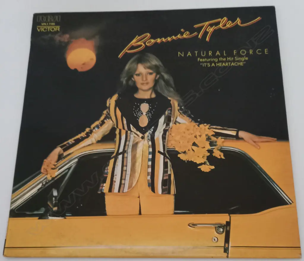 Bonnie Tyler, Natural Force Image 1++